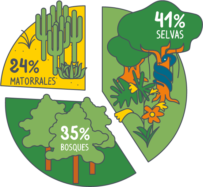 Distribucion forestal