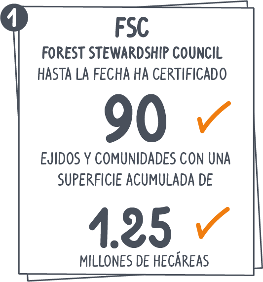 fsc